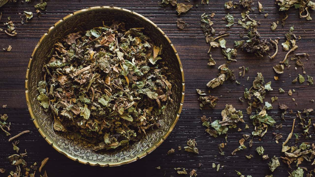 Patchouli Parfum: Erdender Duft mit mystischem Charakter - Kazaar